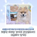 맘스마인드 트레이딩 이미지