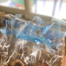 영천초등학교병설유치원 이미지