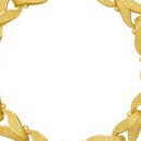 골드쉘 성북점 이미지