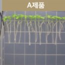 제이에스아그로 이미지
