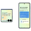8드라 기호일보
