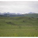 풀밭나라 이미지