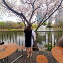 강남 다이어트주사로 유명한 제로팻주사! 성수에서 맞아보기 1회차 후기