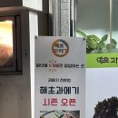 해초과메기양정점 이미지