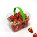 햇살내리는유치원 | 딸기용기 비교 후기 일상의 가치가 달라지는 순간