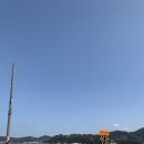 동화 365 스테이 네이버블로그