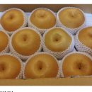 지우네 농장 이미지