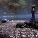 주왕산주산지송현민박 이미지