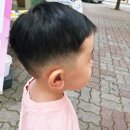 살롱 드 제니 | 구월동 아기미용실 자동차의자 남자숏컷 살롱드제니