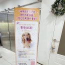강쥐애견샵 이미지