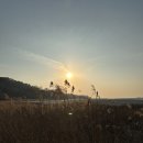 코지네이쳐 이미지