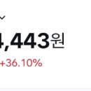 대충 1년 1개월 사이의 자산성장 기록 이미지