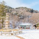 충남 공주 여행 마곡사 유명한 가볼만한 절 힐링여행 이미지