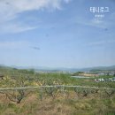 전주한옥마을숙소_라온한옥꿀잠 민들레방 내돈내산 후기