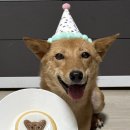 (주)오케이메디케어 | 8월 셋째주- 대장내시경 어서오고 | 서울메디케어 건강검진