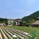 광주역우방부동산공인중개사사무소 이미지