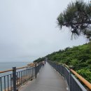 칼럼 쓰기 네이버블로그
