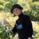 바다 어울림 이미지