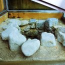 청주중앙약국 이미지