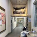 대구향토역사관 | 대구향토역사관 실내 아이랑 구경할만한 곳 후기 하원 후 일상