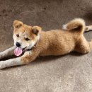 열음농장 이미지