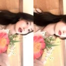 꽃밭주유소 | 튤립과 벚꽃을 한번에 즐길 수 있는 연희숲속쉼터 다녀온 후기🌷, 튤립 개화상태, 찾아가는 길