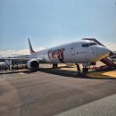 여행자의노래 | 제주도 1-2일 여행후기 | 임산부 여행자의 진실된 리뷰