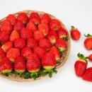 딸기 이미지