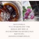 아이비쥬 Daum카페