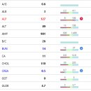 푸른동물병원 이미지