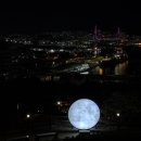 우암동 도시숲 이미지