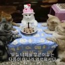 언포모 이미지