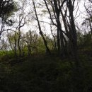 한천옥 | 오인교의 전라도누정기행-장성 옥련정(玉蓮亭)