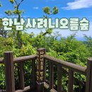 남원읍-27 | 한남사려니오름숲 예약부터 탐방 코스까지 후기 정리 (100대 명품숲)