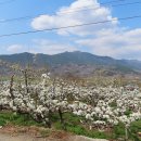 대축마을회관 이미지