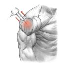 연세포유의원 이미지