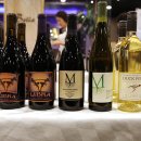 누보코리아 이미지