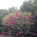 시민운동장 씨름장 이미지