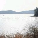 완도공인중개사사무소 이미지