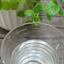 바이온텍 이미지