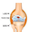 코치짐 미사점 이미지