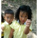 새싹유치원, 연세유치원 이미지