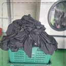 모아세탁 이미지