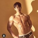 해피스타인터내셔널 이미지