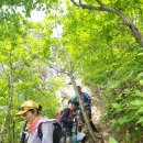 천지산악회 제673회 두타산산행 이미지