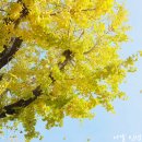 온천천변길 이미지