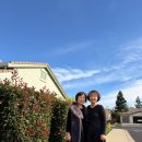 빙고 | 미국 가정집 엄청난 홈파티 음식 메뉴 후기 빙고게임 파트락