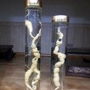 아까먹고또먹고 Daum카페