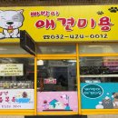 빠박이 애견미용 이미지