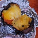 숲을 그리다 이미지